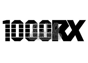 Sticker moto KAWASAKI 1000 RX