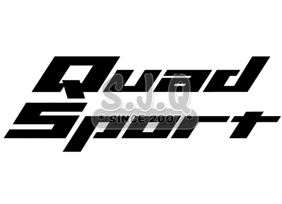 Sticker quad suzuki QUADSPORT 2