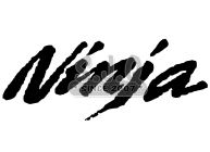 Sticker moto KAWASAKI NINJA